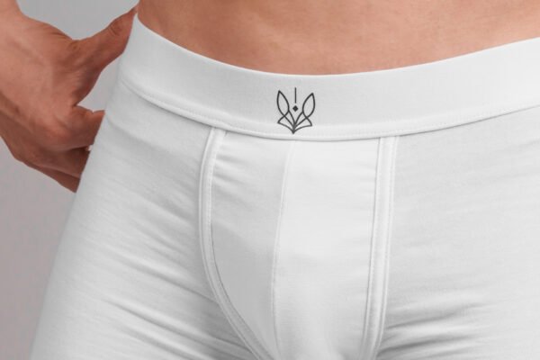 White boxer – Image 3