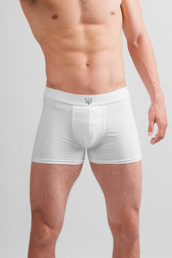 White boxer – Image 2