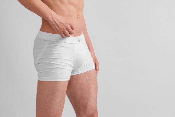 White boxer – Image 4