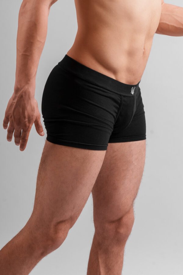 Black boxer – Image 2